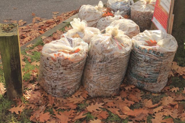 group of bagged leaves sitting by road