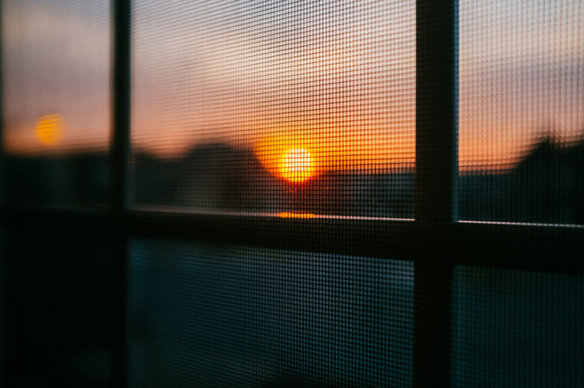 Sun setting through screen mesh