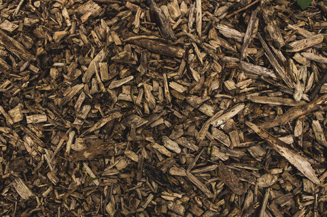 closeup of mulch