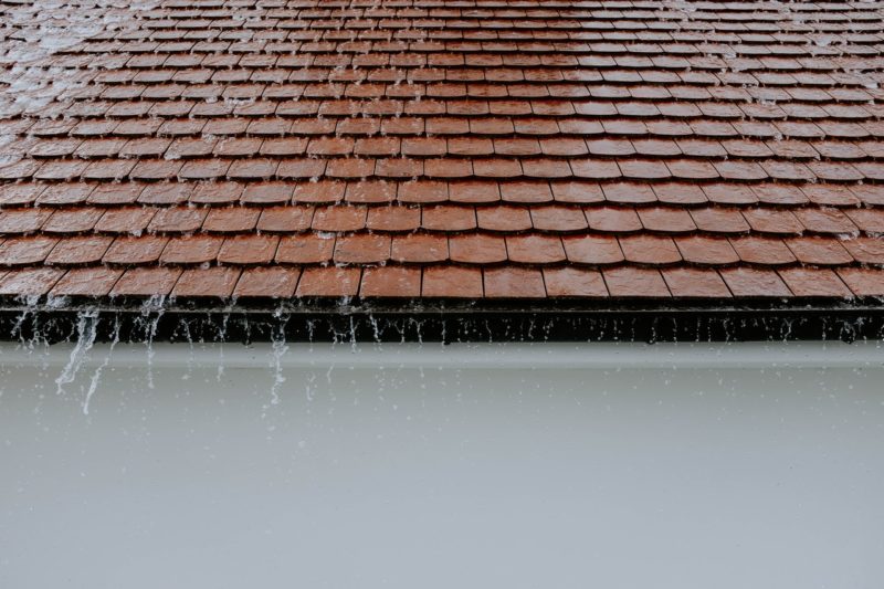 Roof Cleaning