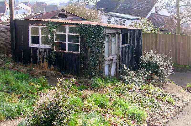 Old wood shed with vines growing up the sides of it and wild overgrowth all around the base