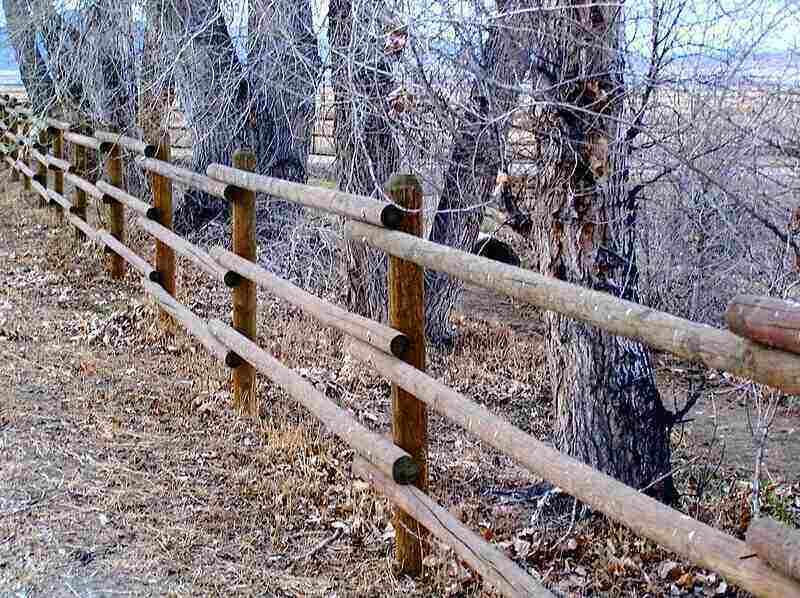 Tall wood split rail fence up against a tree line