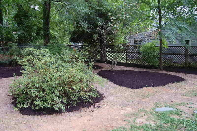 Freshly mulched beds around a bush and a tree