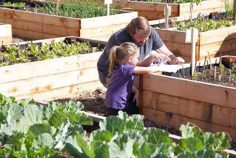Father with his daughter pointing out different plants in a raised bed