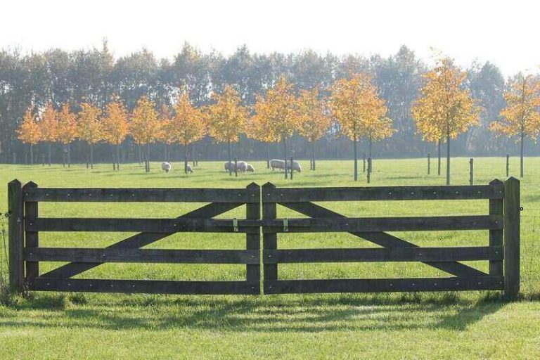 Pricing Guide How Much Does a Split Rail Fence Cost? Lawnstarter