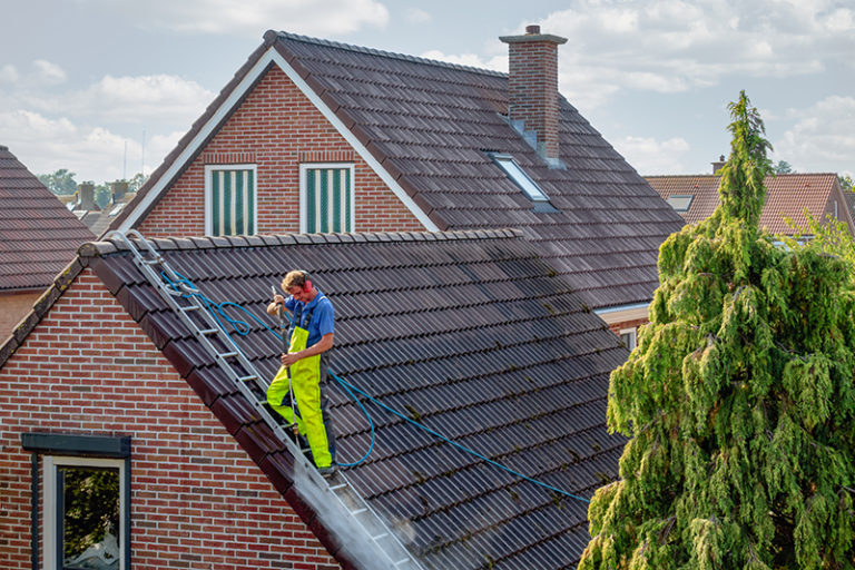 Pricing Guide How Much Does Roof Cleaning Cost? Lawnstarter