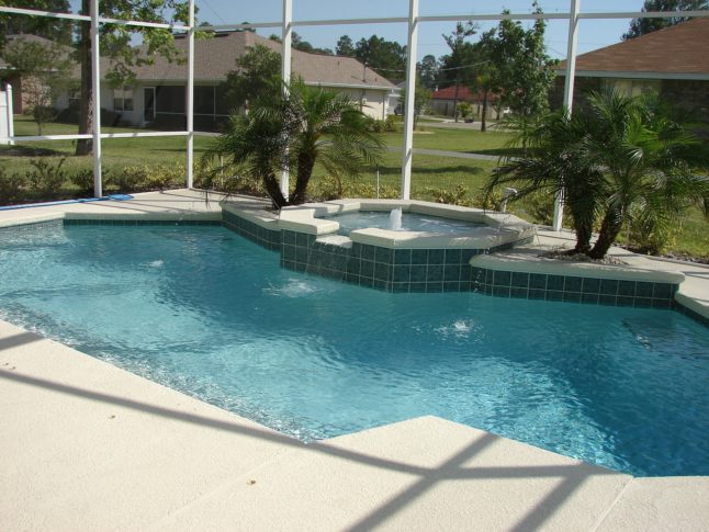 screened in pool with palm tree landscaping and water fountain