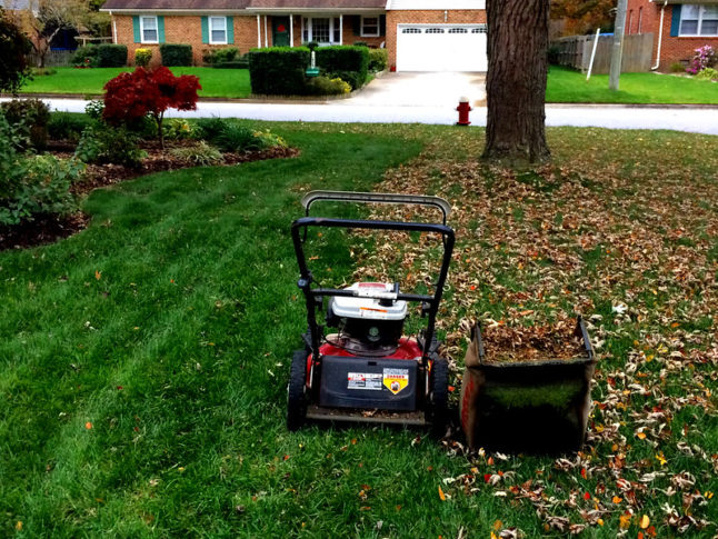 lawn mower sitting in yard covered with leaves