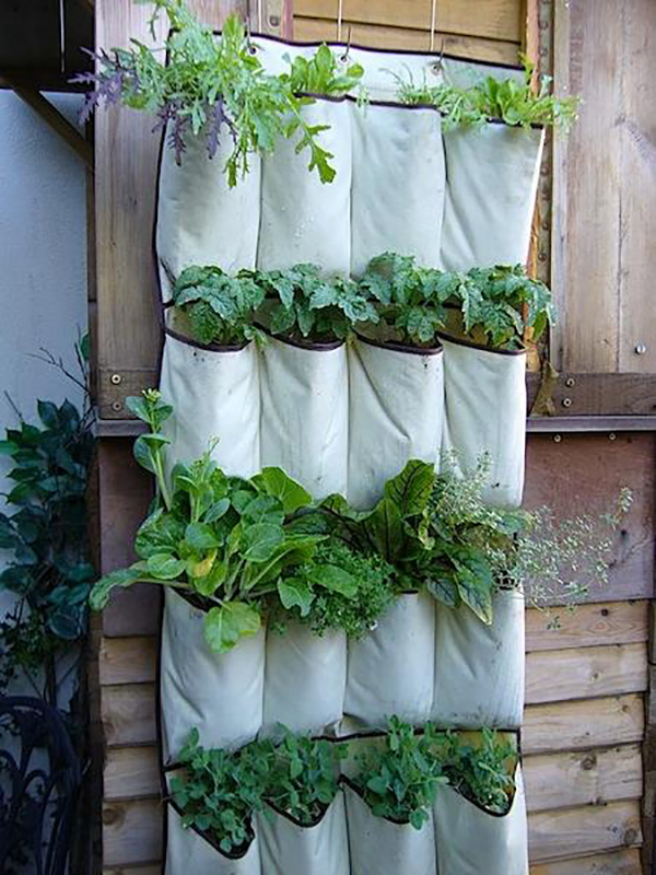 hanging cloth shoe organizer holding plants