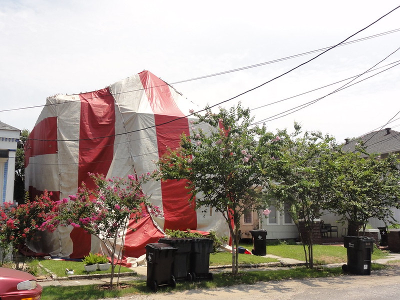 exterior shot of home with fumigation tent