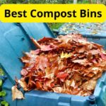5 Best Compost Bins of 2024 [Reviews]