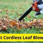 10 Best Cordless Leaf Blowers of 2021 [Reviews]