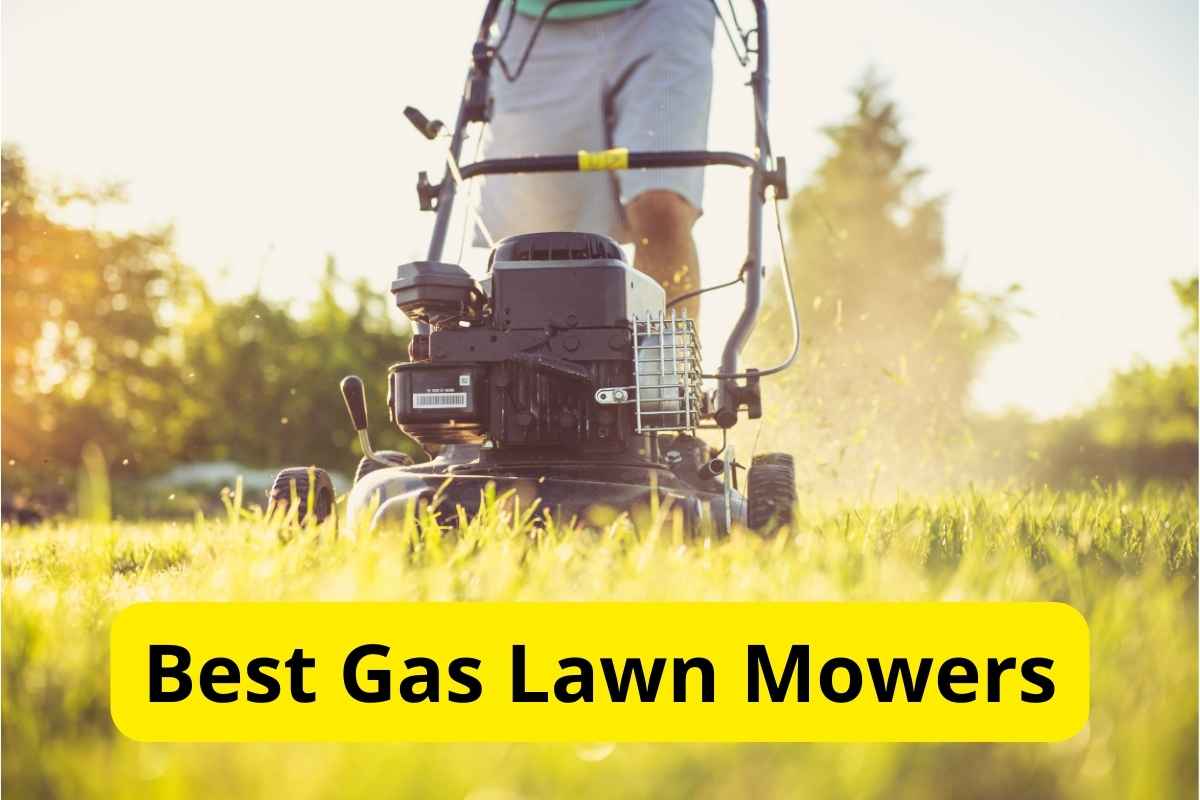 person usiing lawn mower with text overlay on it