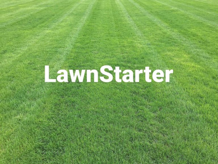 lawnstarter logo on grass