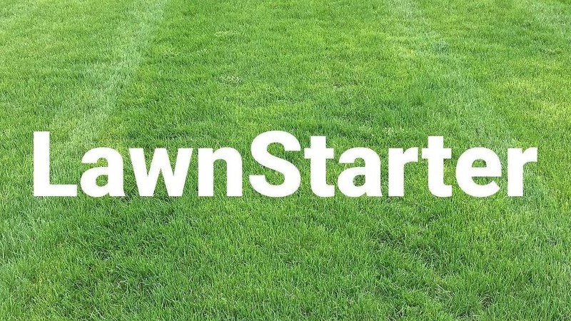 LawnStarter logo, with LawnStarter in white type on a field of green grass