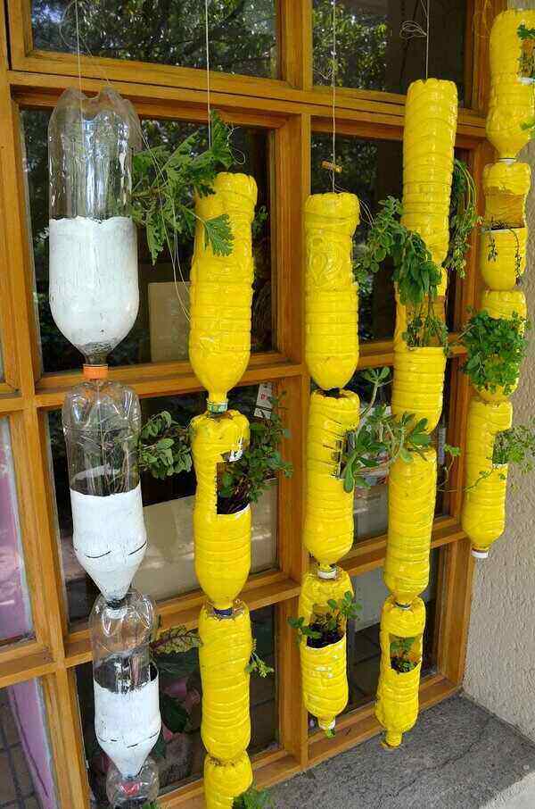 recycled water bottles housing plants in vertical garden