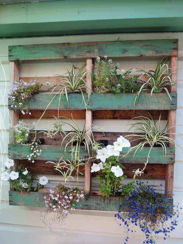 painted pallet box handing with plants