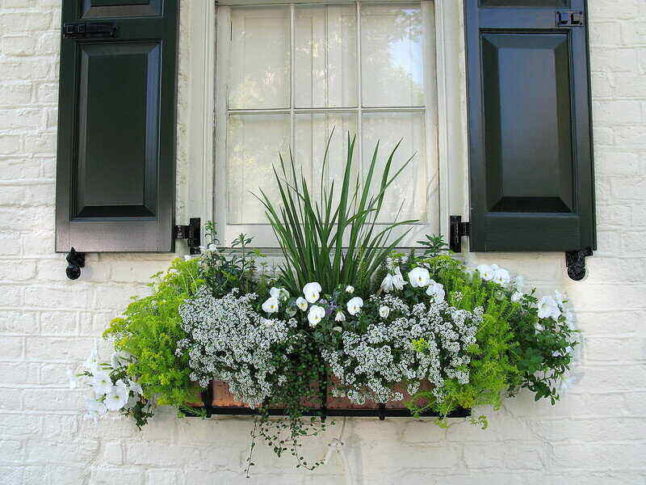 white brick wall with planter box in front of window with black shutters