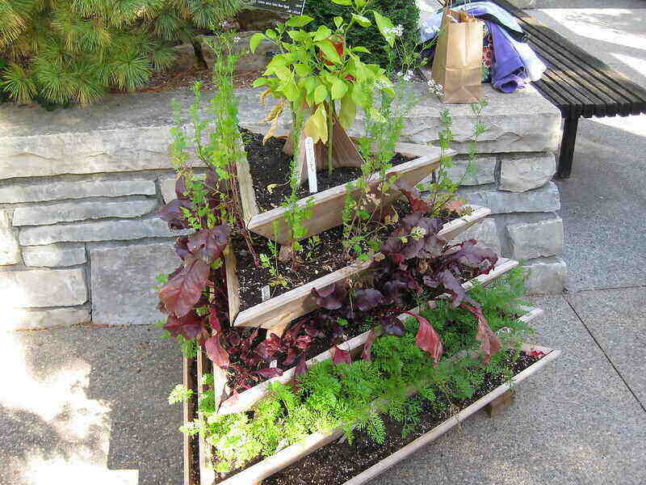 stacked shelves holding varieties of plants