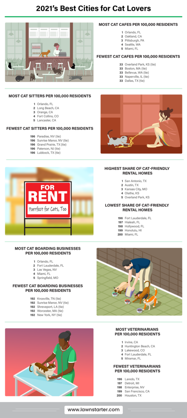 infographic depicting the best and worst cities for cat lovers