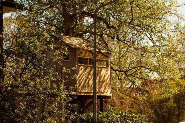 Wooden treehouse in the middle of green trees