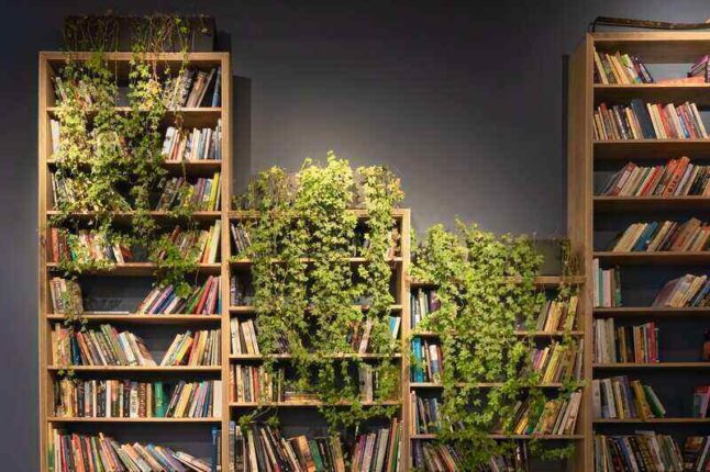 bookcases topped with climbing vine plants