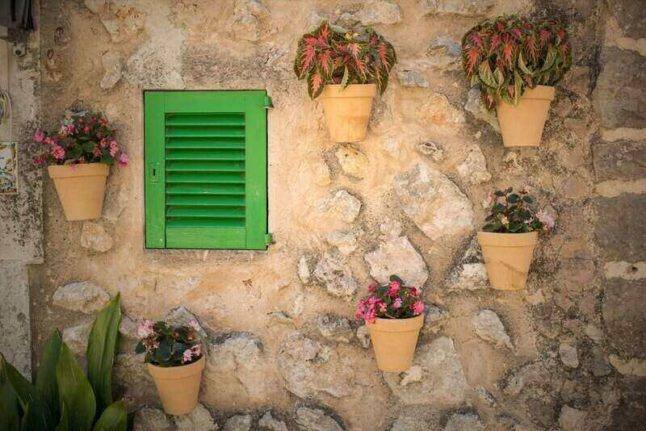 exterior wall with potted plants and green shutter