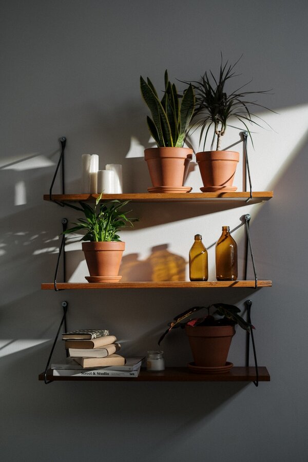 floating shelves with books, potted plants, and glass bottles