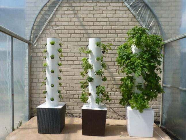 aerotowers of plants inside greenhouse