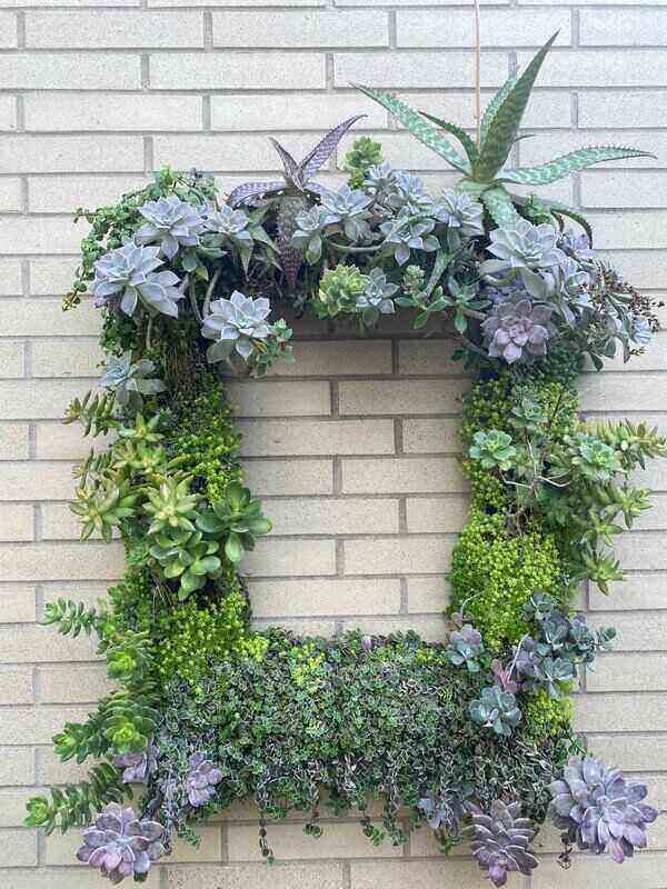 wreath of succulents hanging on brick wall