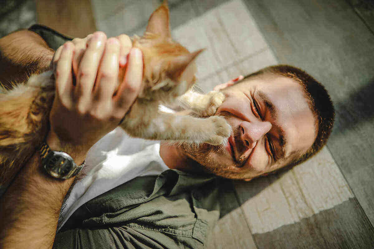 young bearded man smiling holding cat in hands