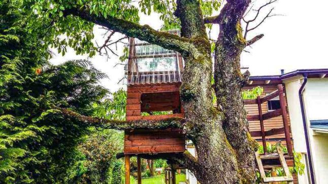 Wooden treehouse in the middle of green trees