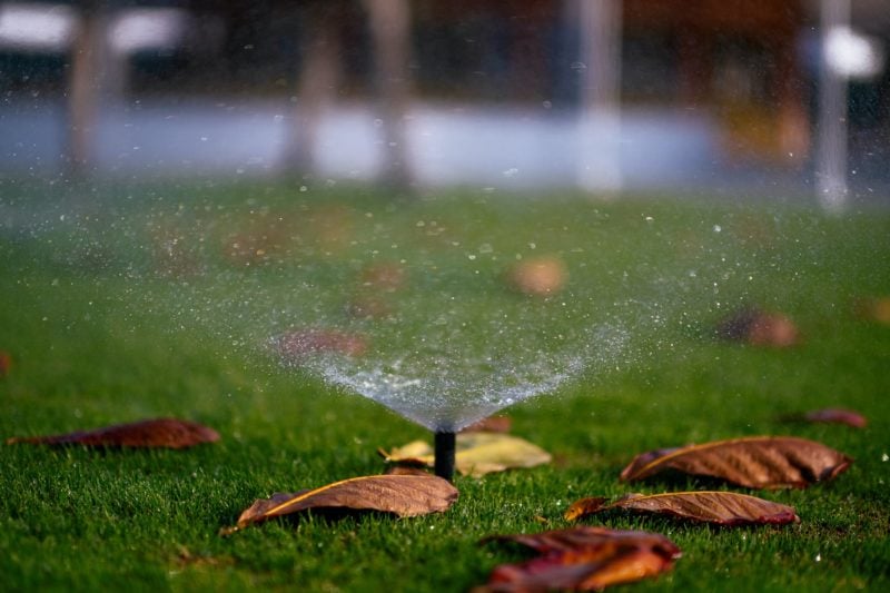 closeup of a sprinkler head in grass with leaves