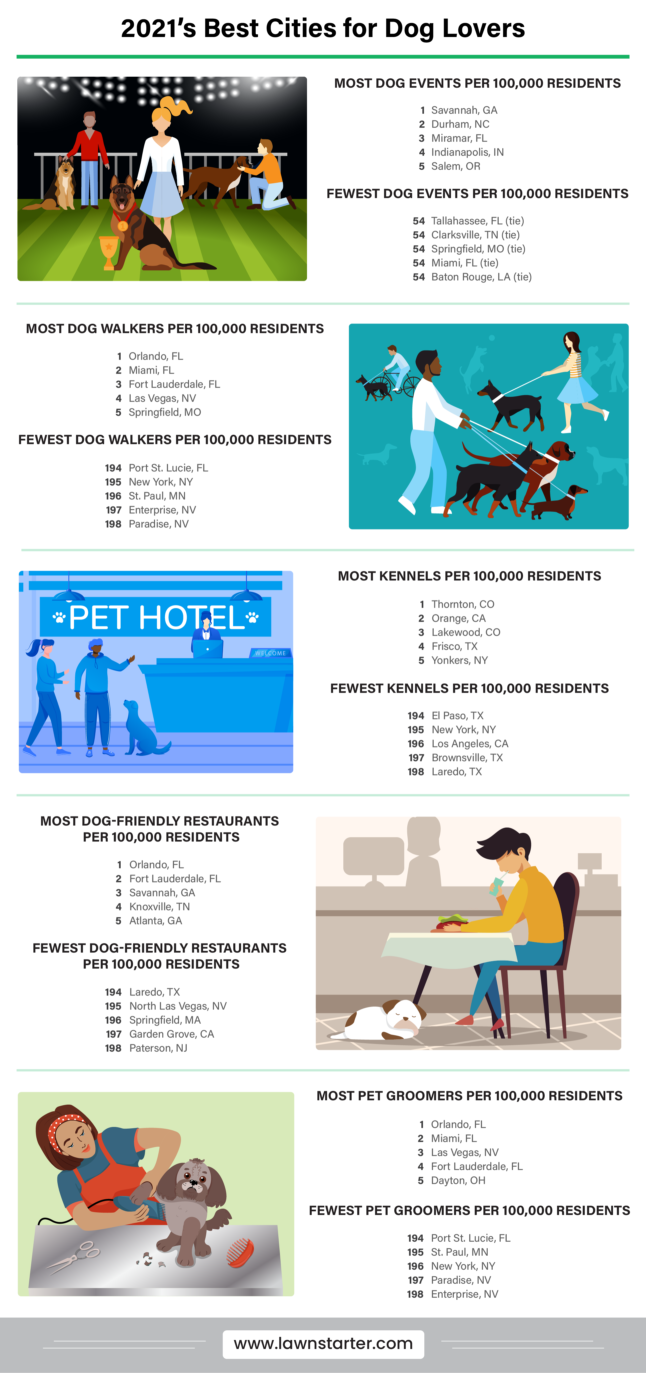 infographic showing best cities for dog lover