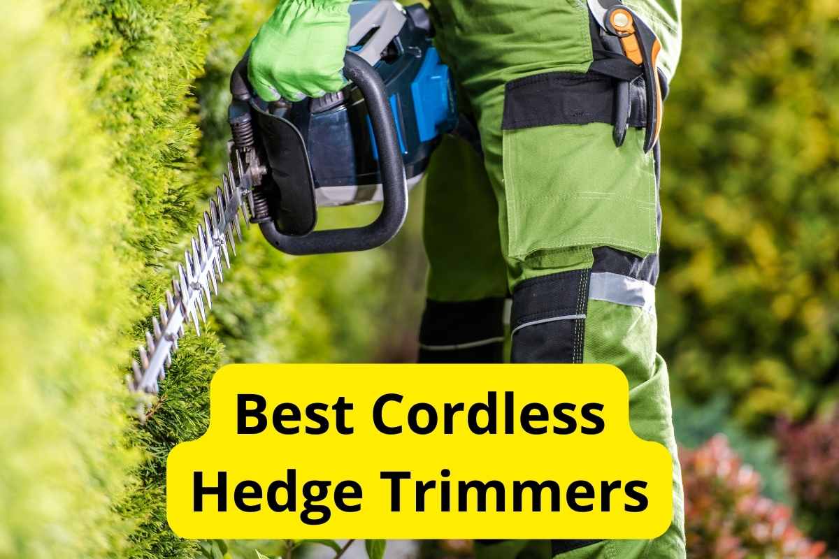 gardener trimming a hedge with text overlay on it