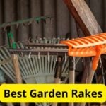 5 Best Garden Rakes of 2024 [Reviews]