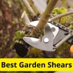 10 Best Garden Shears of 2025 [Reviews]