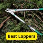 5 Best Loppers of 2025 [Reviews]