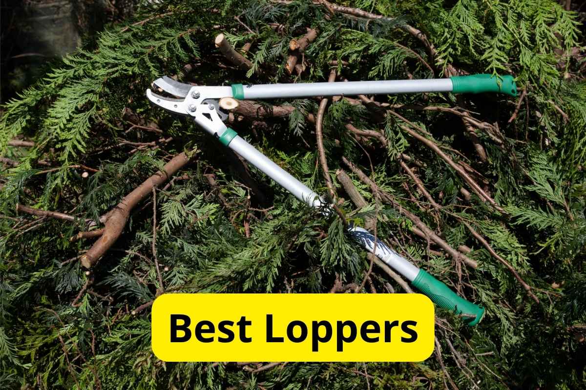 branch lopper on cutted grass with text overlay on it