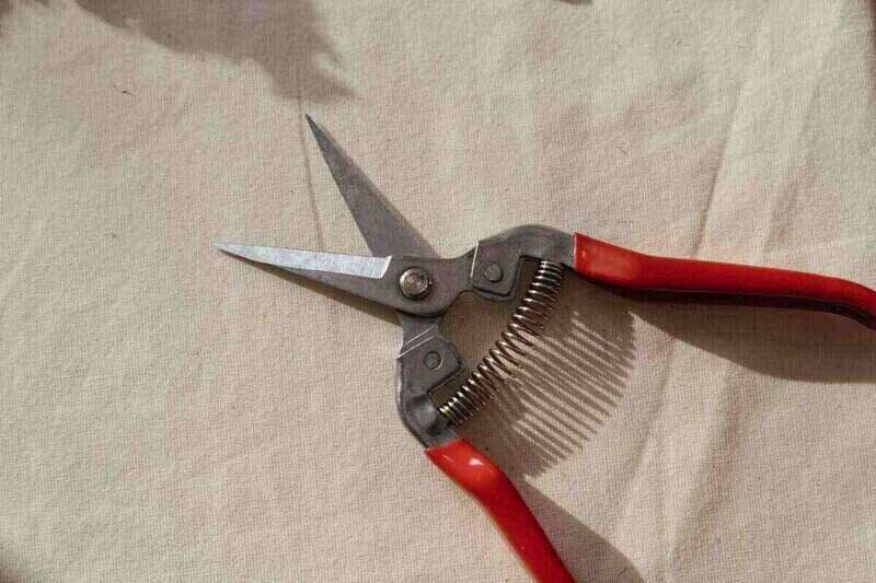 gardening shears with red handles sitting on cloth