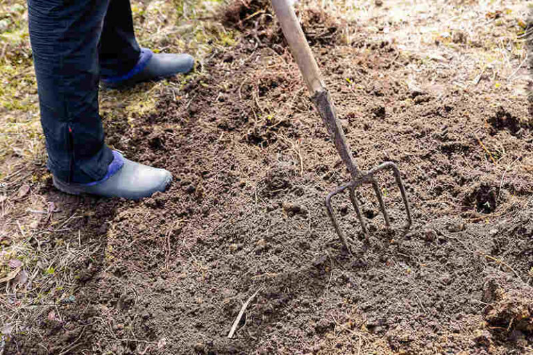 8 Best Spading Forks of 2022 [Reviews] Lawnstarter