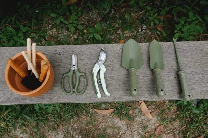 gardening tools sitting on wooden bench
