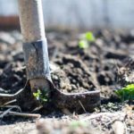 8 Best Shovels for Gardening of 2022 [Reviews]