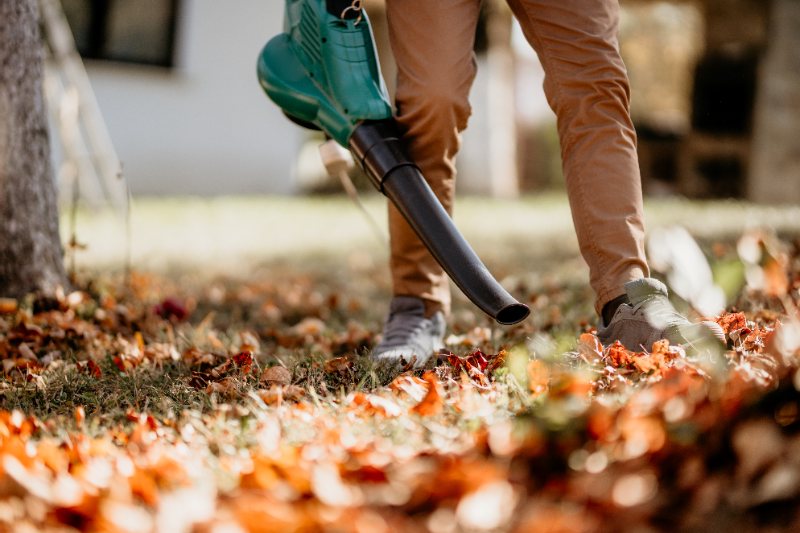 Person using a green leaf blower to clear fallen autumn leaves from the ground in a yard during a sunny day.