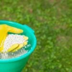Pricing Guide: How much Does Lawn Fertilization Cost?