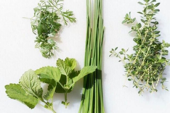different herbs laid out on a table, with chives in the middle