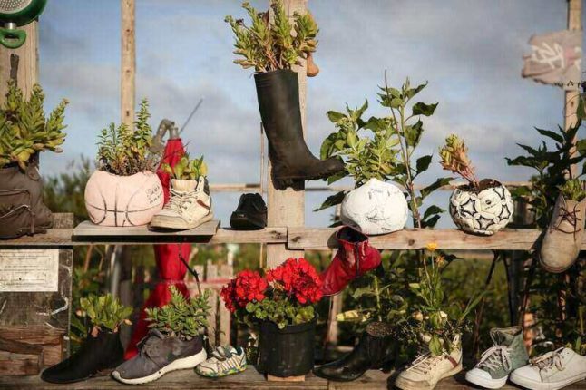 container garden using sports balls, boots and shoes for containers
