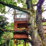 Pricing Guide: How Much Does a Treehouse Cost?