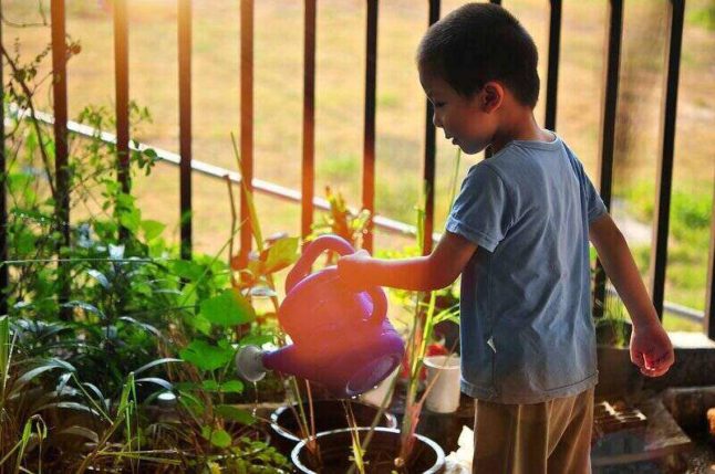 young boy using a watering can to water plants in a container garden