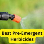 8 Best Pre-Emergent Herbicides for Lawns [Reviews]